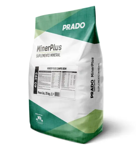 MINER PLUS CAMPO BOM
